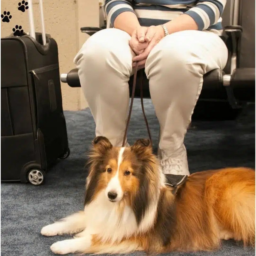 a woman sits next to a dog on a chair